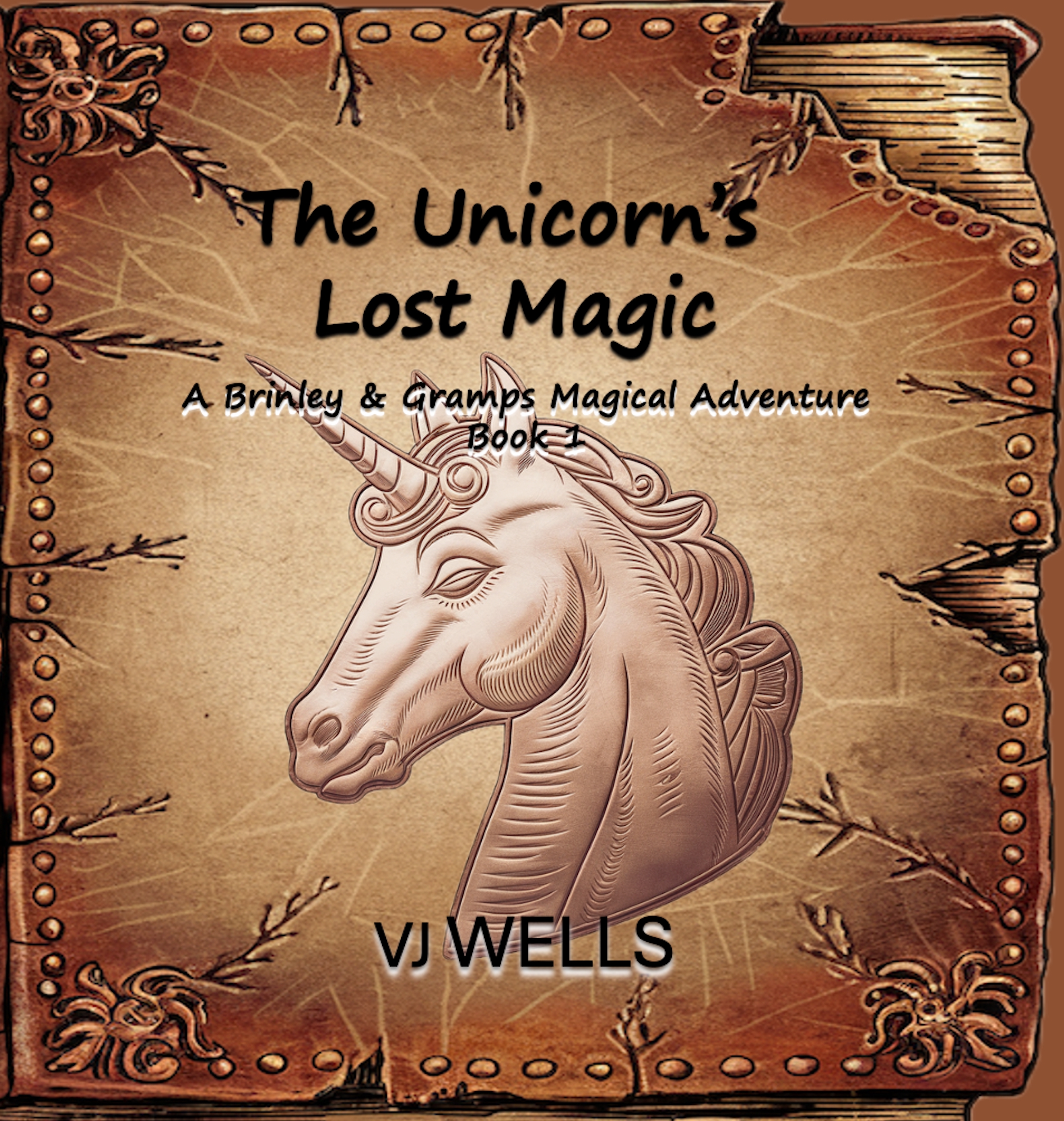 BB02 Book Cover - The Unicorn's Lost Magic